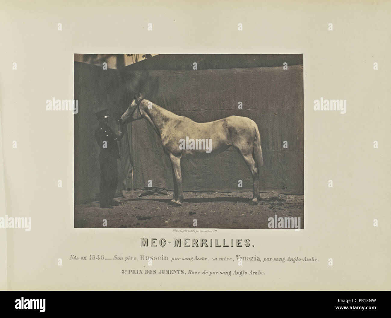 Meg Merrillies Alban Adrien Tournachon Fran§ais 1825 1903 France