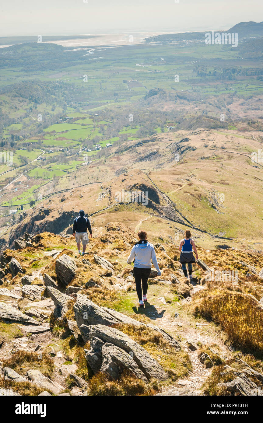 Cnicht escalade, parc national de Snowdonia, le Nord du Pays de Galles, Pays de Galles, Royaume-Uni, Europe Banque D'Images