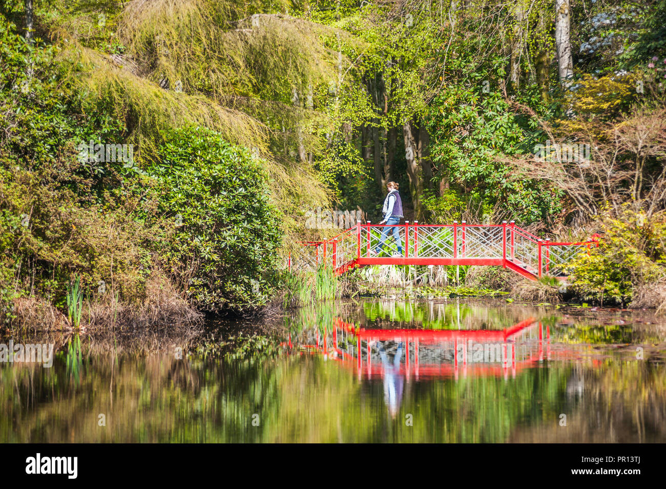 Portmeirion, Gwynedd, au nord du Pays de Galles, Pays de Galles, Royaume-Uni, Europe Banque D'Images