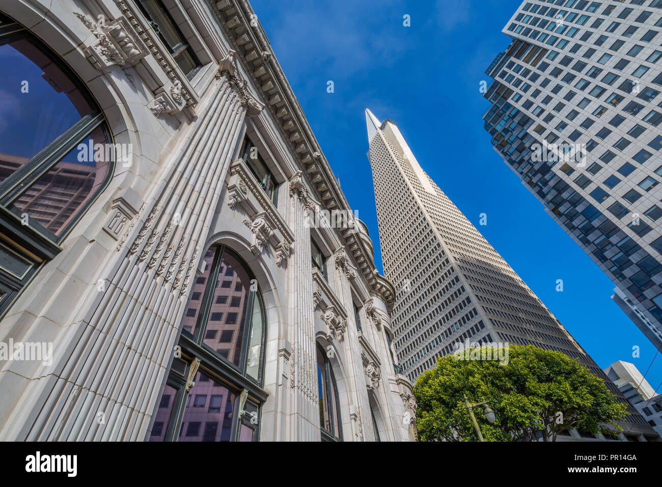 Avis de Transamerica Pyramid building dans le quartier financier du centre-ville, San Francisco, Californie, États-Unis d'Amérique, Amérique du Nord Banque D'Images