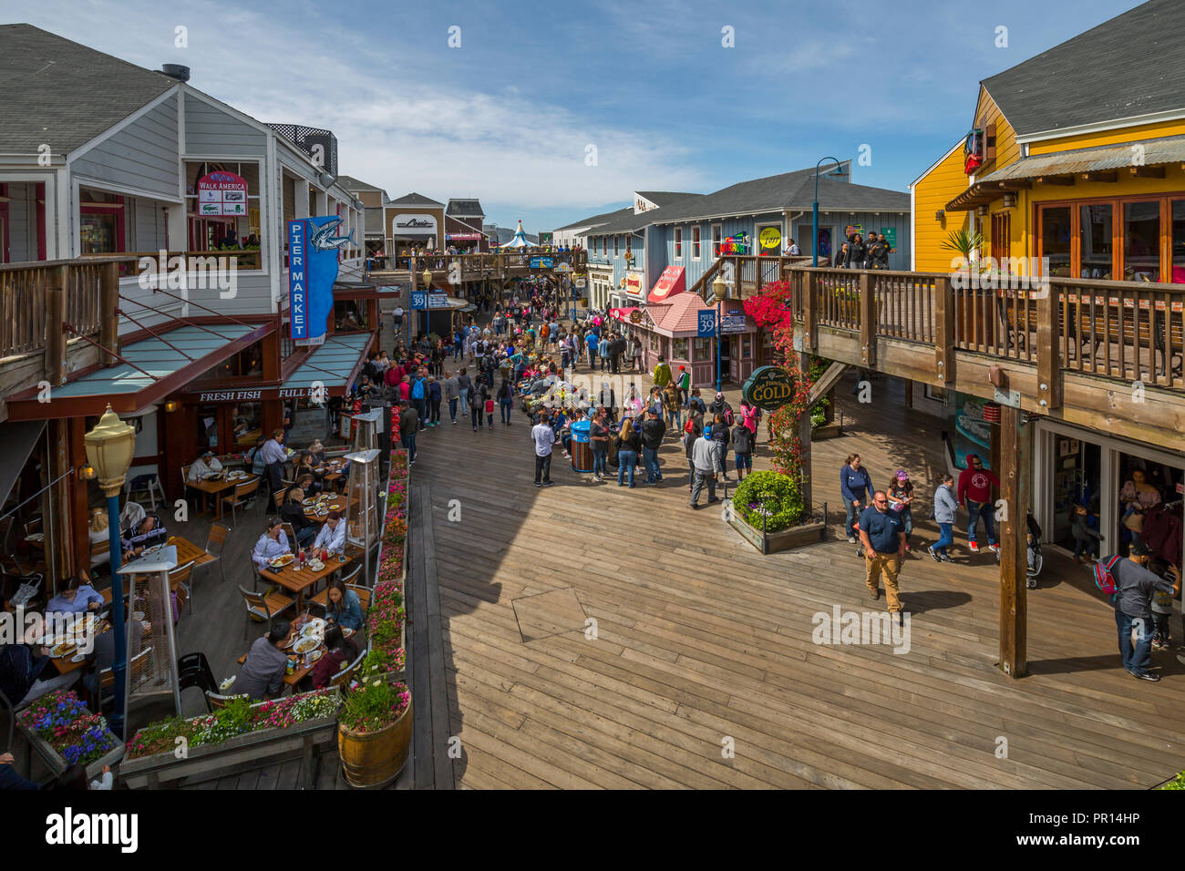 Avis de Pier 39 à Fisherman's Wharf, San Francisco, Californie, États-Unis d'Amérique, Amérique du Nord Banque D'Images