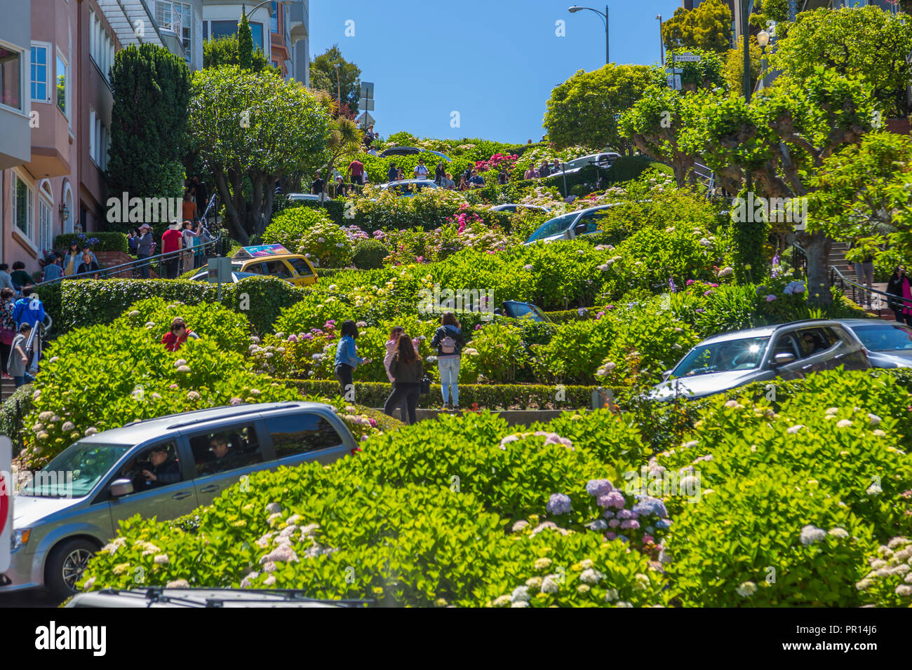 Voir des voitures sur Lombard Street, San Francisco, Californie, États-Unis d'Amérique, Amérique du Nord Banque D'Images