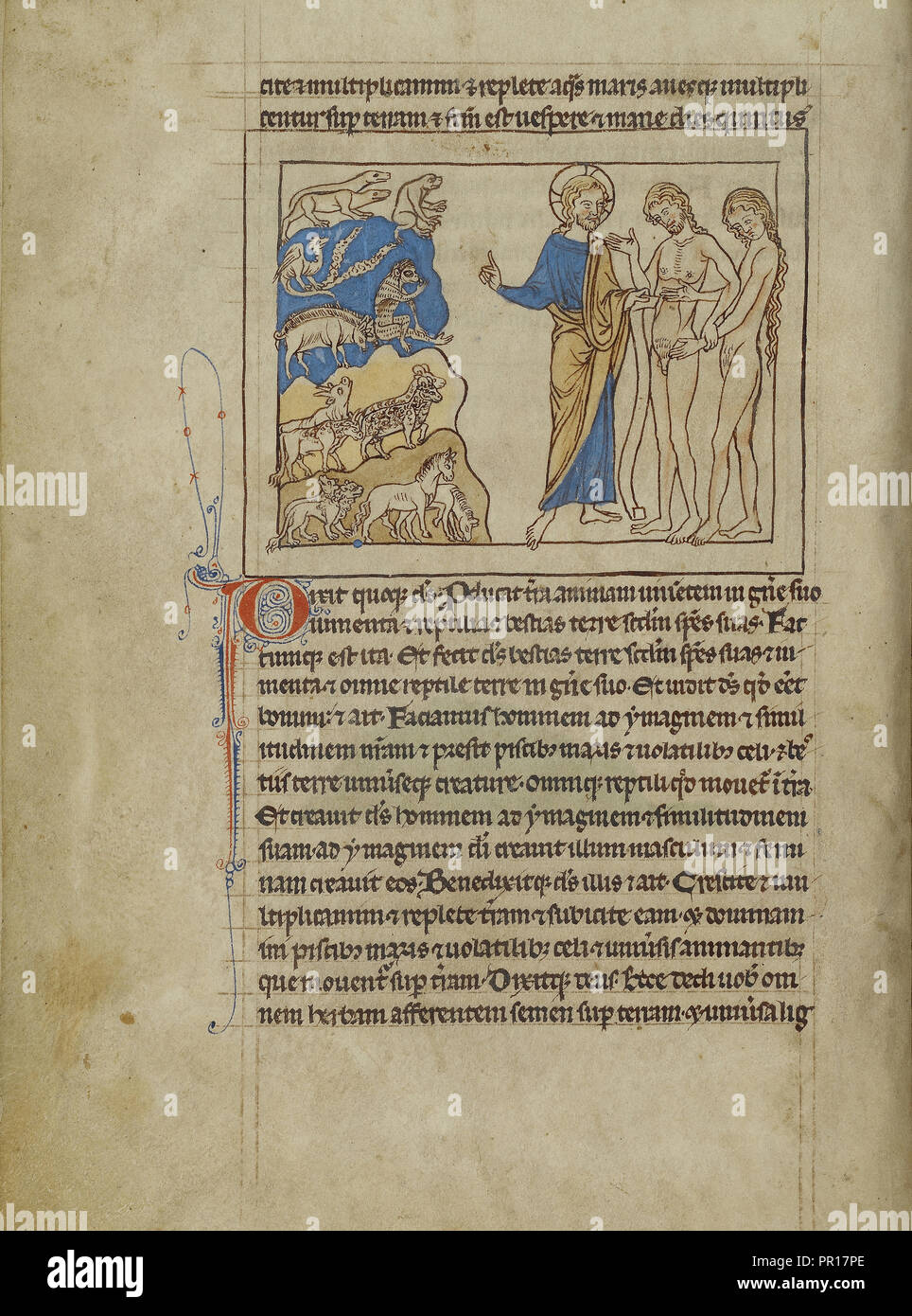 La création des animaux et d'Adam et Eve ; Angleterre ; environ 1250 - 1260 ; Pen-et-dessins à l'encre teintée de couleur du corps Banque D'Images