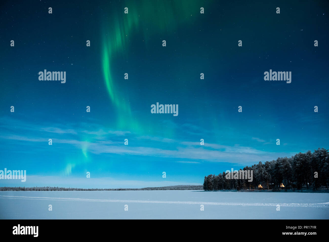 Aurore boréale, Pallas-Ylllastunturi Parc National, Laponie, Finlande, Europe Banque D'Images