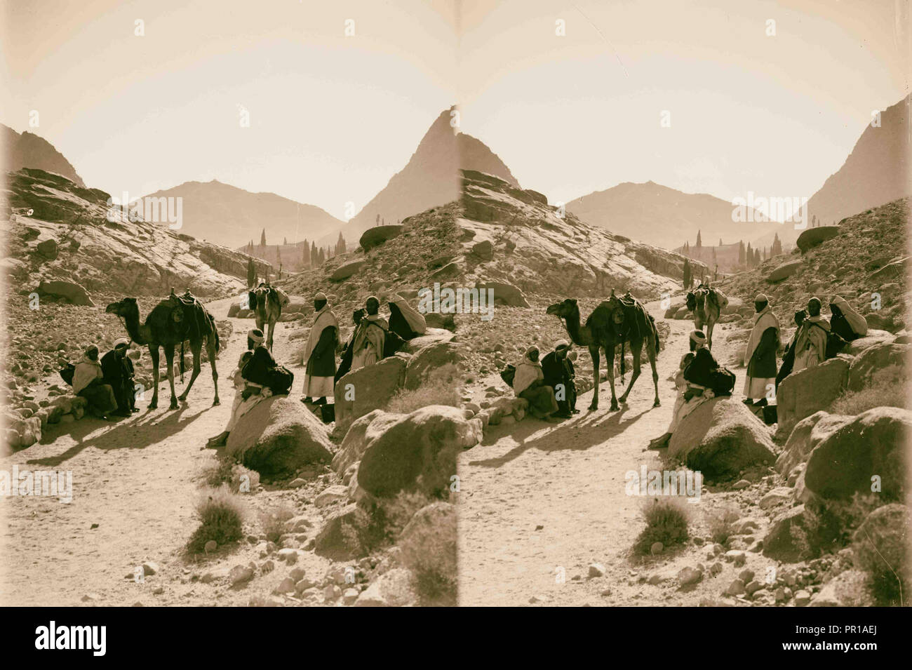 À Sinaï, via la mer Rouge, Tor, et Wadi Hebran. Wady Ed-Deir et Jebel Munajah. 1900, l'Egypte, le Sinaï Banque D'Images