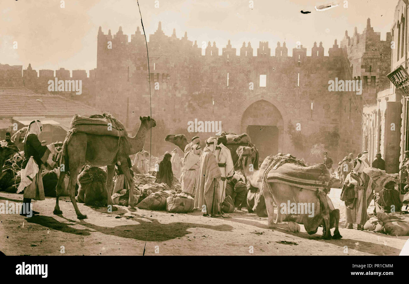 Autour du mur de la ville Porte de Damas. Le déchargement du blé-ladened bédouins des chameaux. 1920, Jérusalem, Israël Banque D'Images