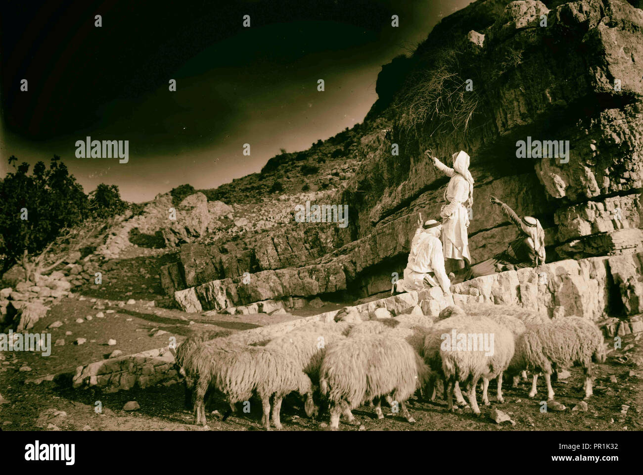 L'agriculture, des scènes Berger le berger de nuit lit l'étoile. Pour connaître l'heure. 1920, Moyen Orient Banque D'Images