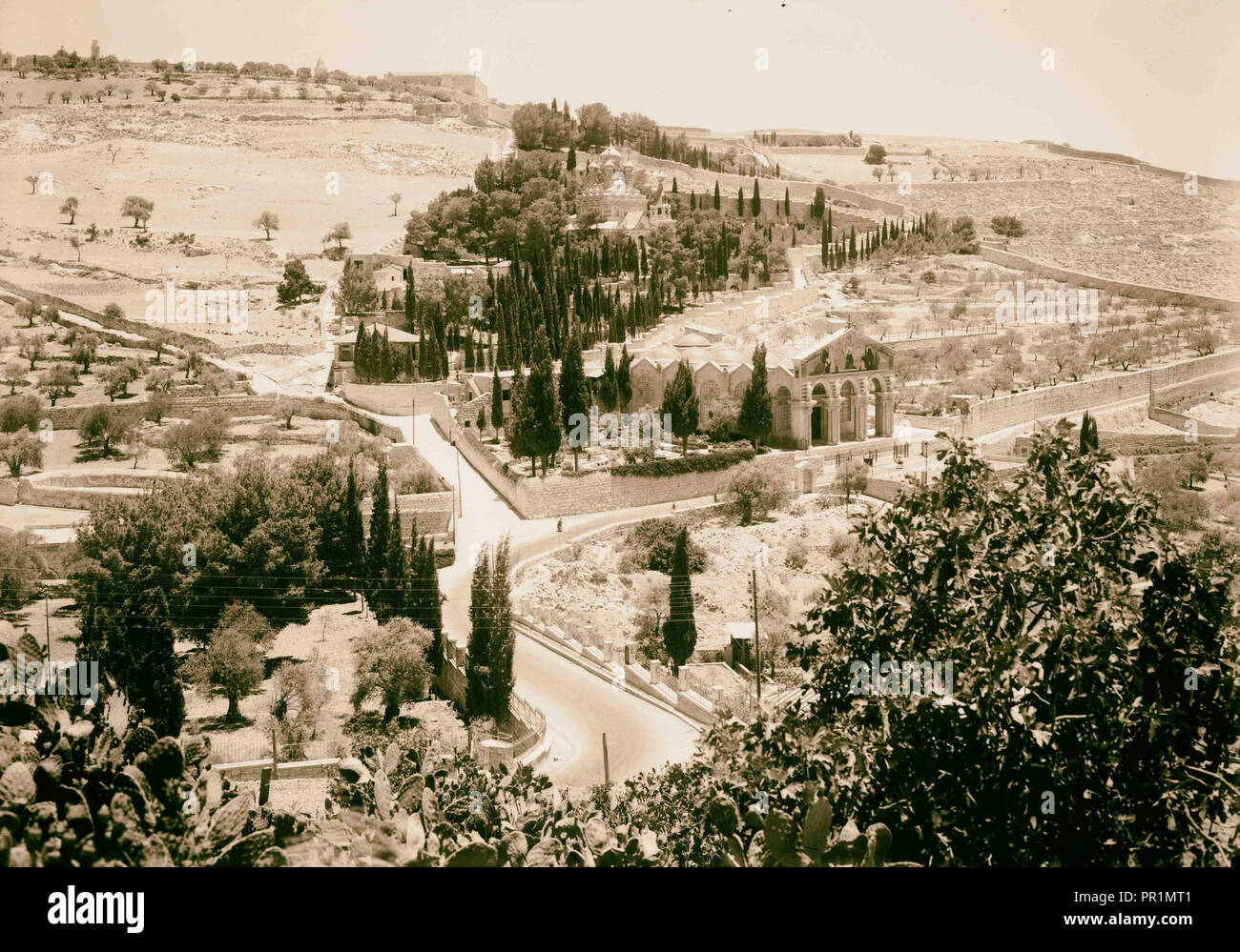 Jardin de Gethsémani. Les pentes inférieures d'Olivet montrant la nouvelle basilique. 1924, Jérusalem, Israël Banque D'Images