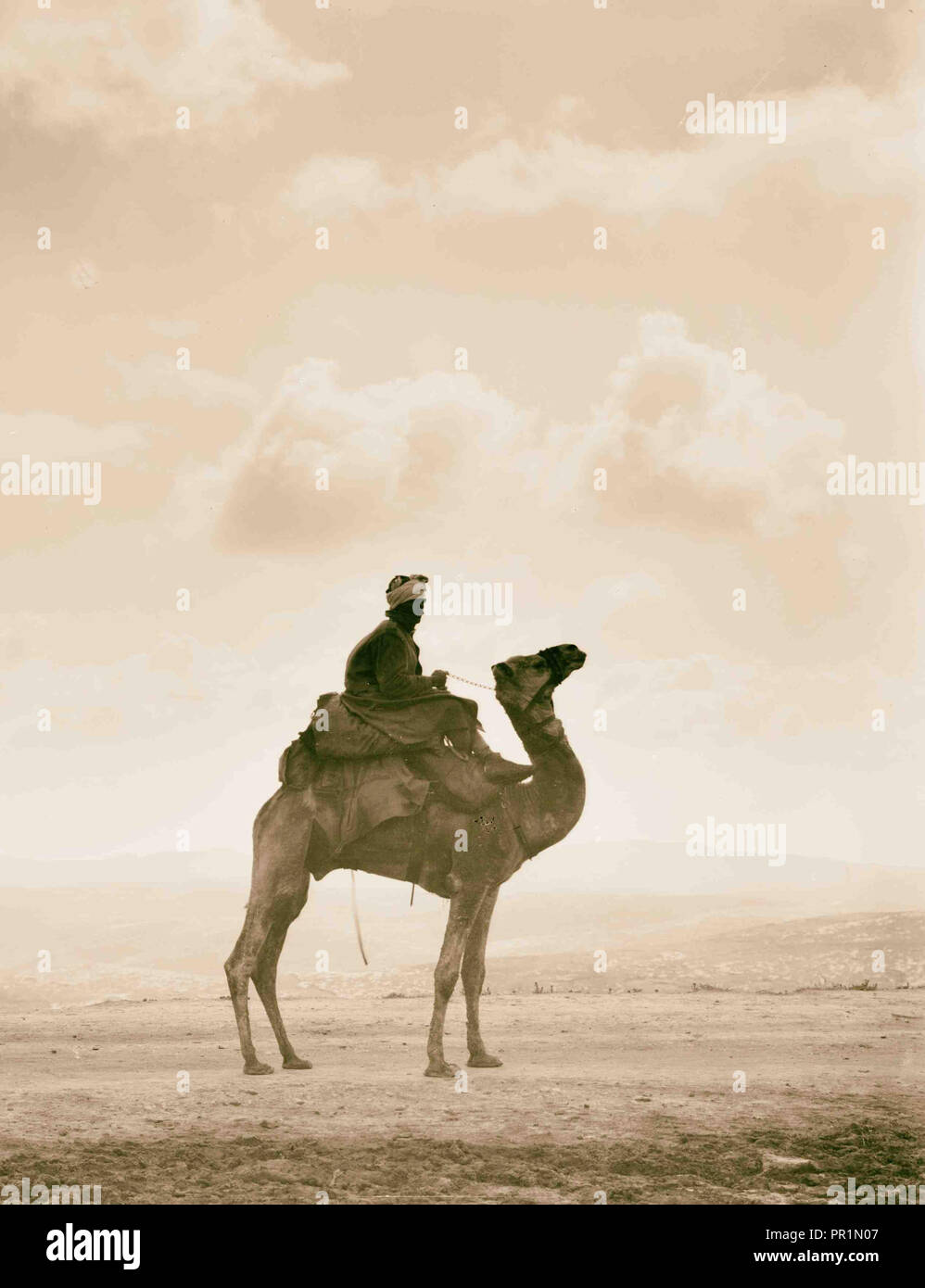 Types de Transjordanie. L'Hadjin. (Un chameau de course). 1898, Jordanie Banque D'Images