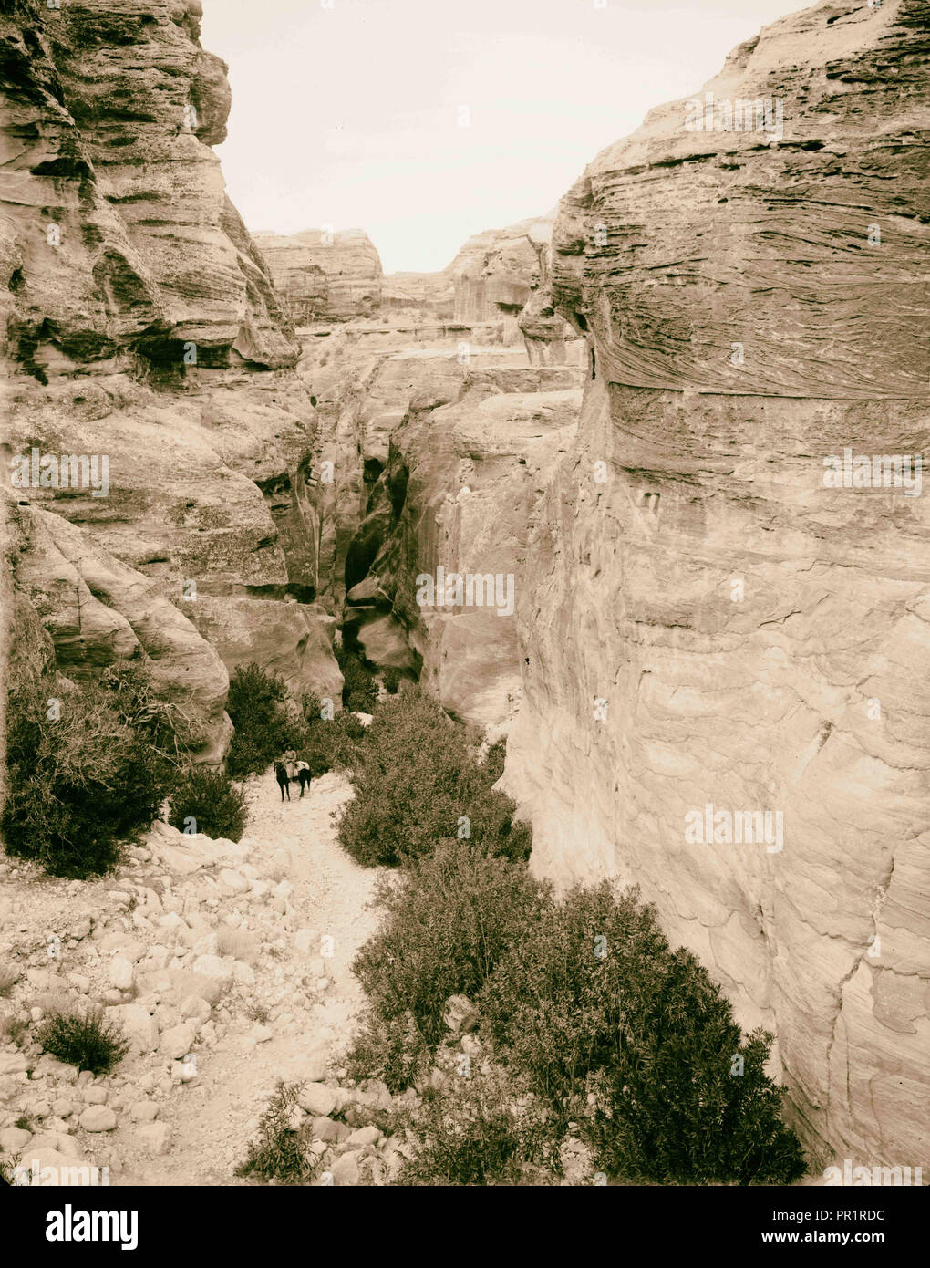 Petra. Bab-Es-Sik, l'entrée de la gorge. 1898, Jordanie, Petra, la ville disparue Banque D'Images