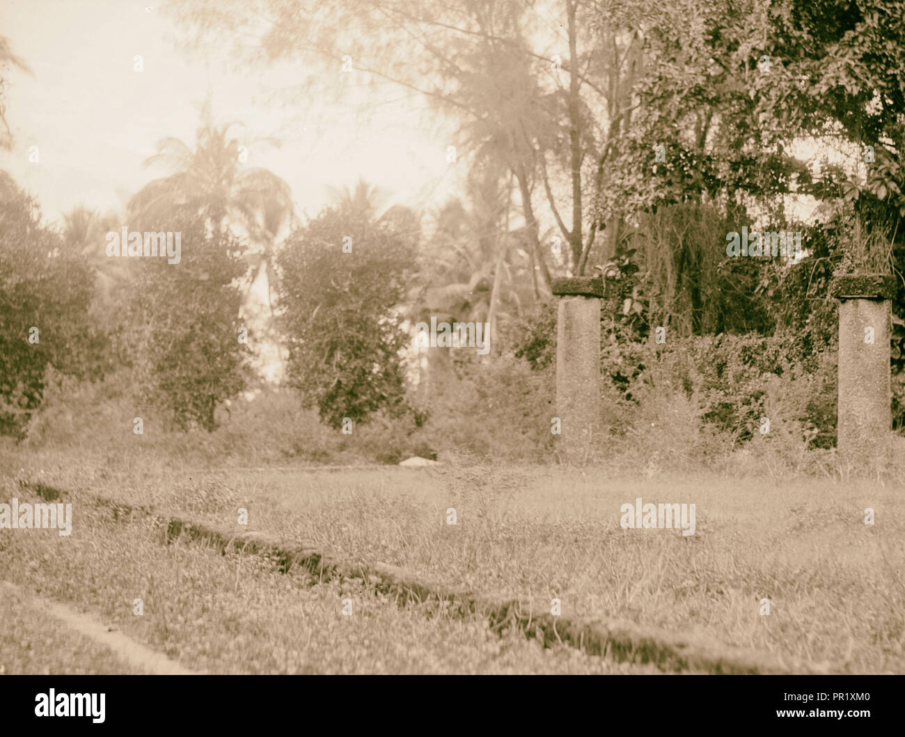 Ruines du palais du Sultan de Zanzibar. 1936, Zanzibar, Tanzanie Banque D'Images
