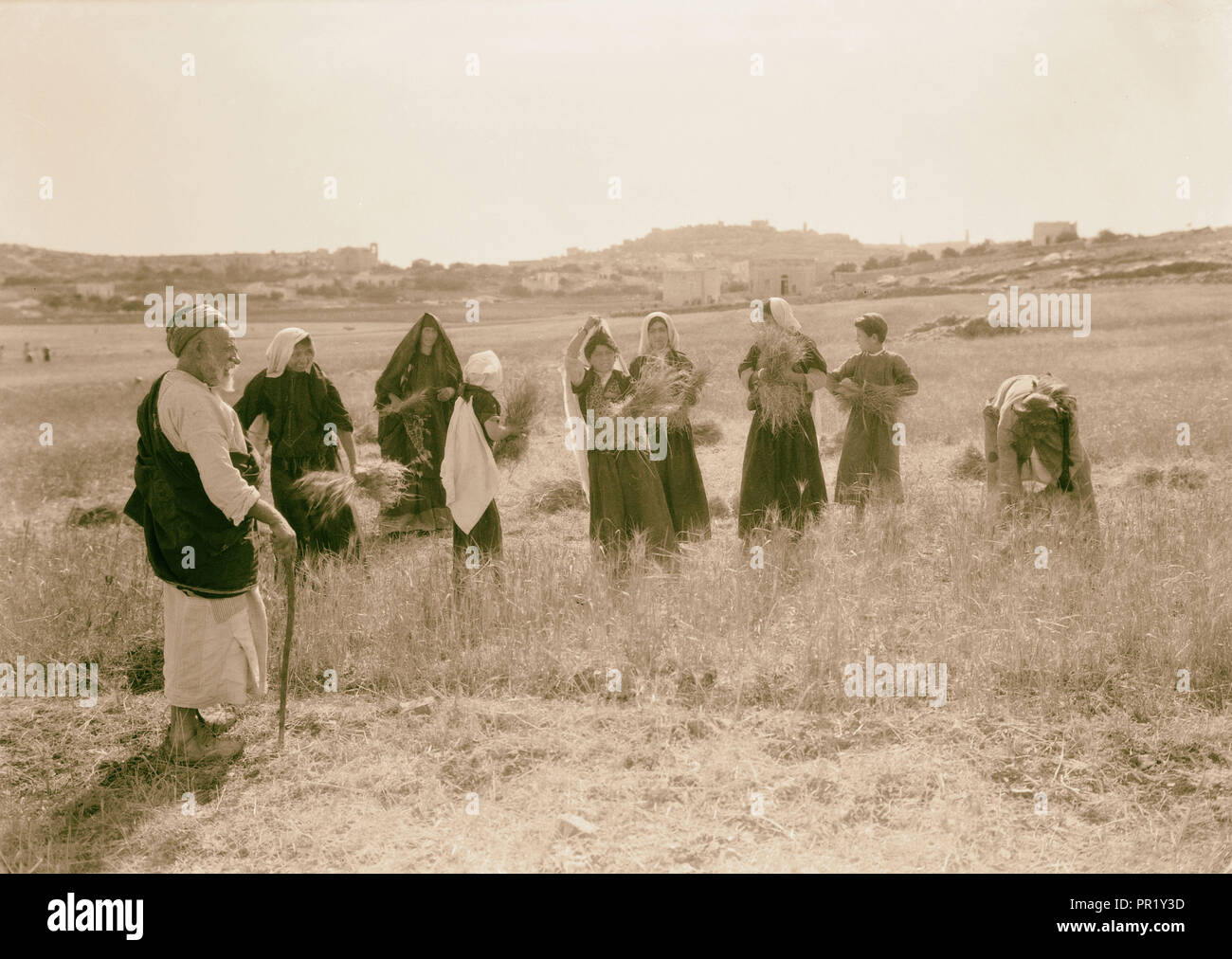 La récolte et le battage des scènes de plancher dans l'histoire de Ruth et Boaz 1925 Banque D'Images