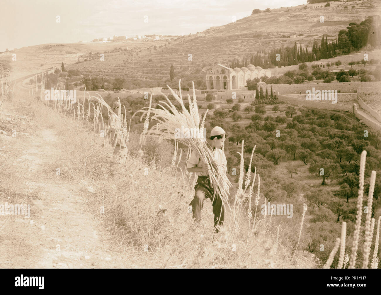 Dans la vallée de Squills Kedron. 1940, Jérusalem, Israël Banque D'Images