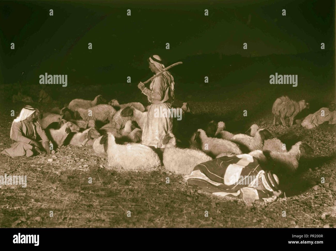 L'agriculture, etc. 'alors que les bergers ont vu leurs troupeaux nuit scène montrant Bethléem dans la distance. En 1925, West Bank Banque D'Images