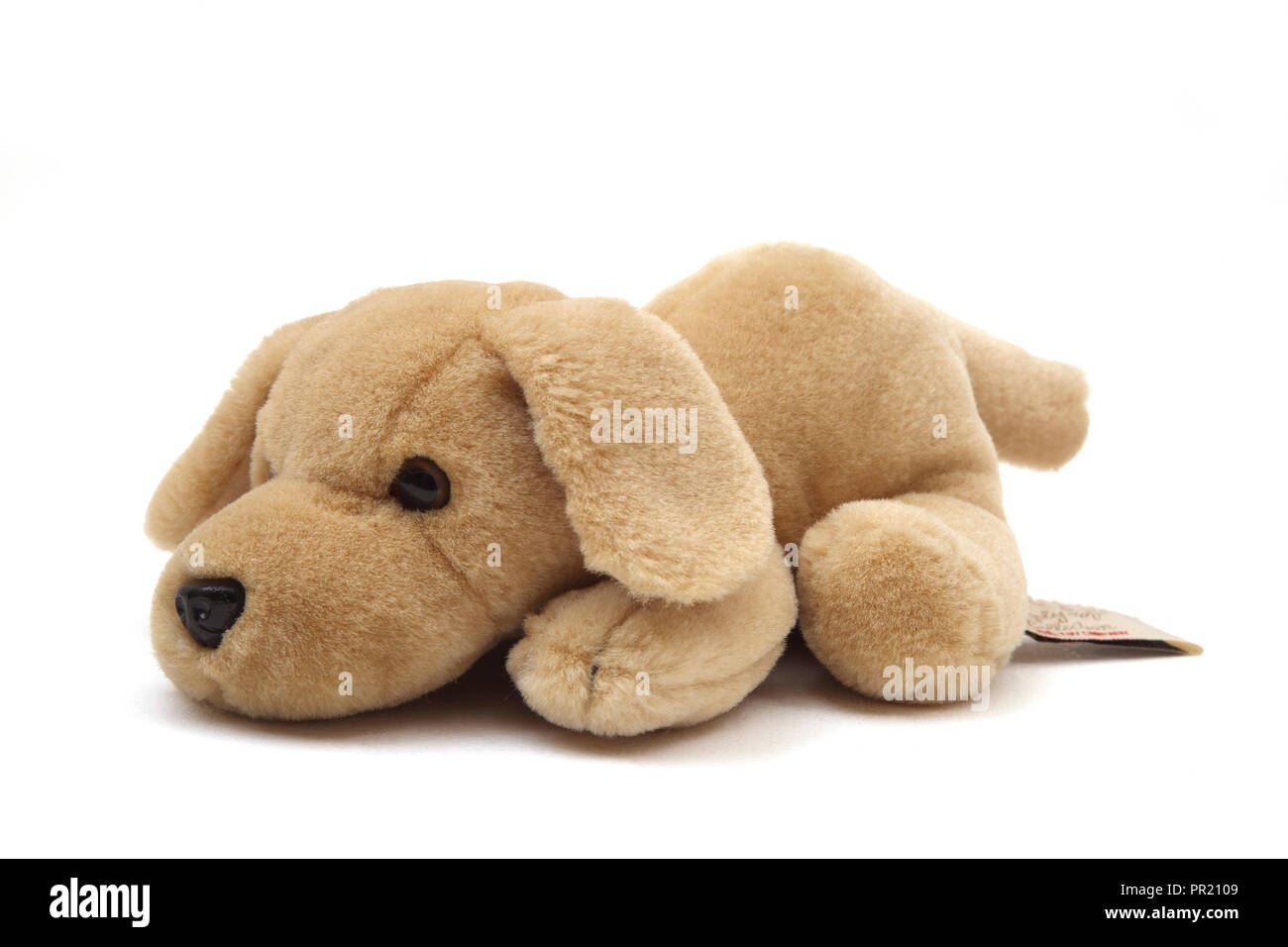 peluche chien labrador