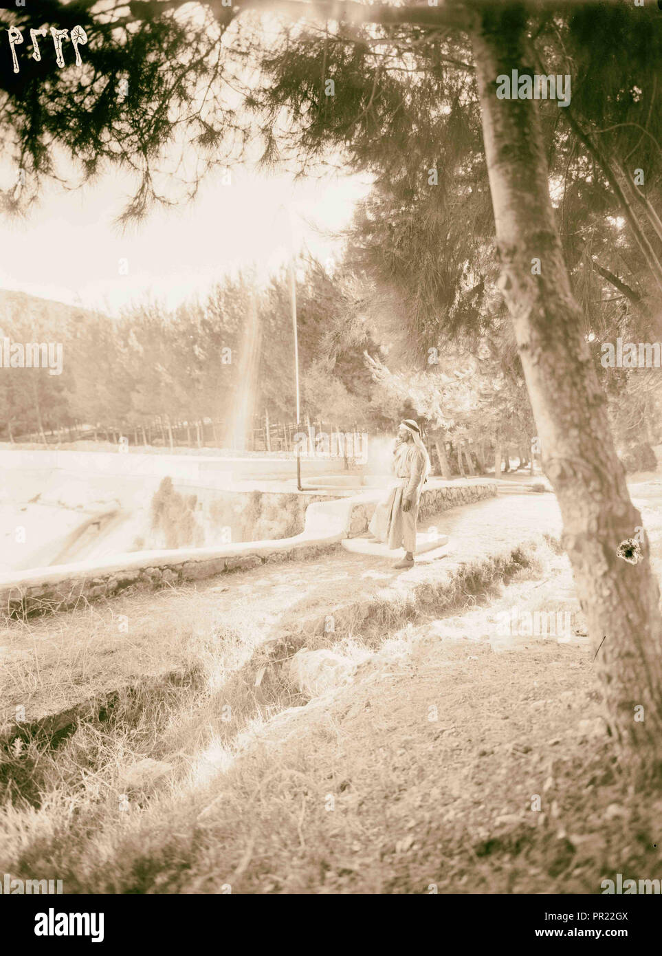 Solomon's Piscines & vieux aqueducs dans la pinède à l'extrémité supérieure de la piscine. 1934, en Cisjordanie Banque D'Images