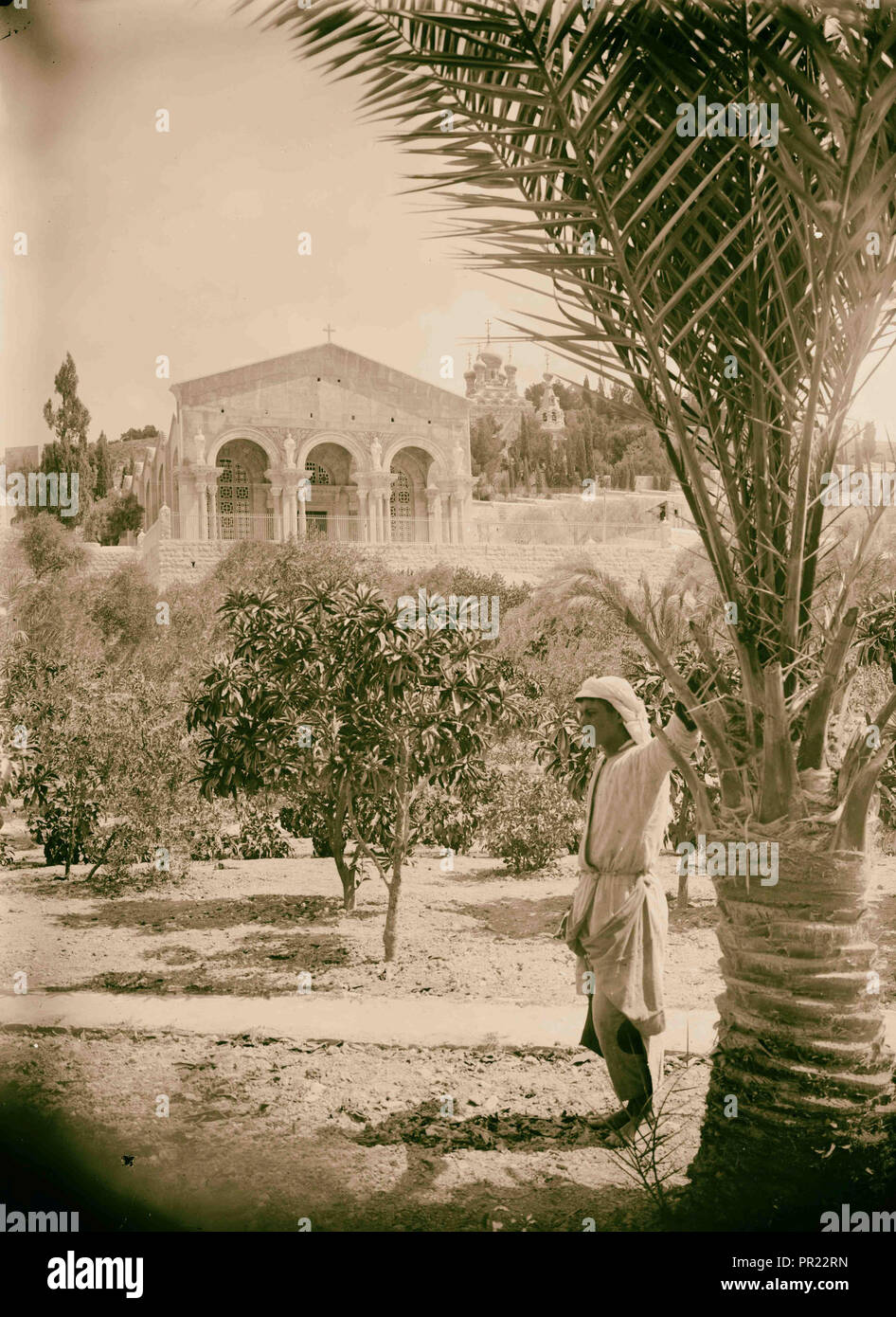 La basilique de Gethsémani, Eglise de toutes les nations ou l'église de l'Agonie, 1934 Jérusalem, Israël Banque D'Images