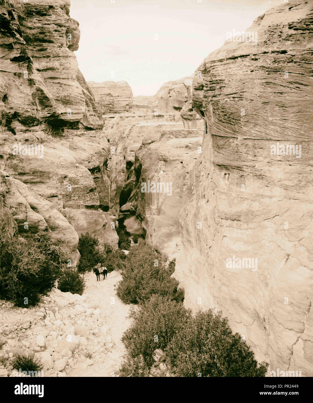 Petra. Entrée Ouest de Es-Sik colonie américaine, Jérusalem. 1898, Jordanie, Petra, la ville disparue Banque D'Images