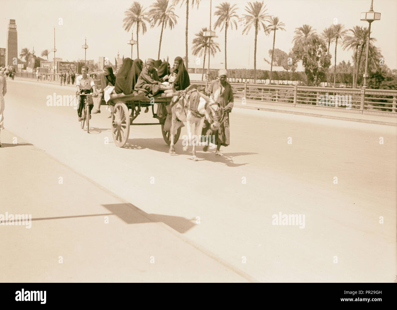 L'Égypte. Le Caire. Types et caractères. Panier natif de transporter des passagers. 1934, l'Égypte, Le Caire Banque D'Images