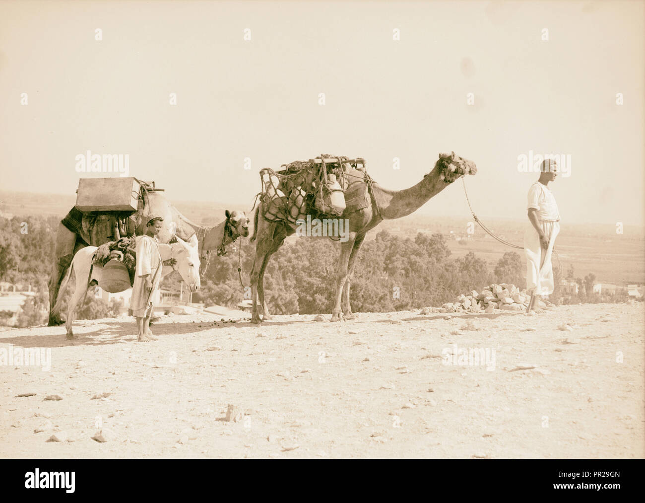 L'Égypte. Le Caire. Types et caractères. Les chameaux chargés avec de l'eau pots & réservoirs. 1934, l'Égypte, Le Caire Banque D'Images
