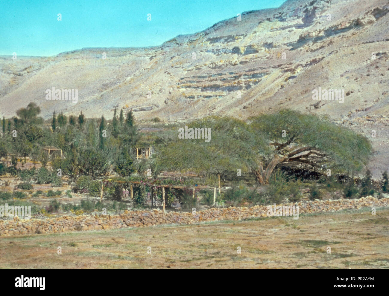 kadesh-barnea-banque-de-photographies-et-d-images-haute-r-solution