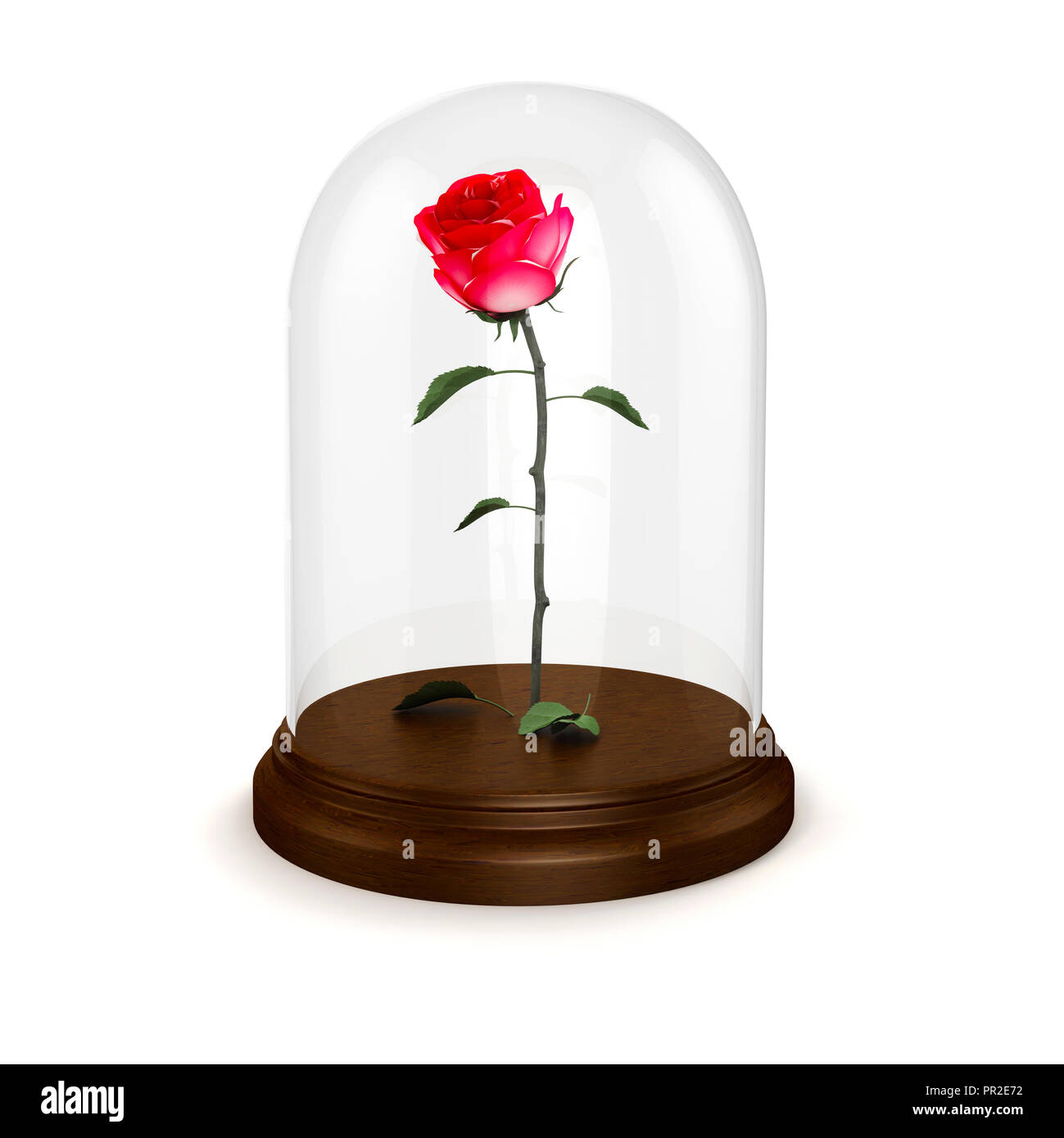 3d rose rouge dans un dôme en verre Banque D'Images