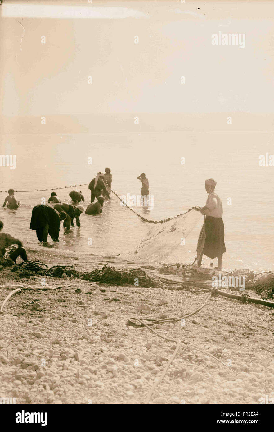 Différents types, etc. Dimensions dans net de poissons en mer de Galilée. 1900, Israël Banque D'Images