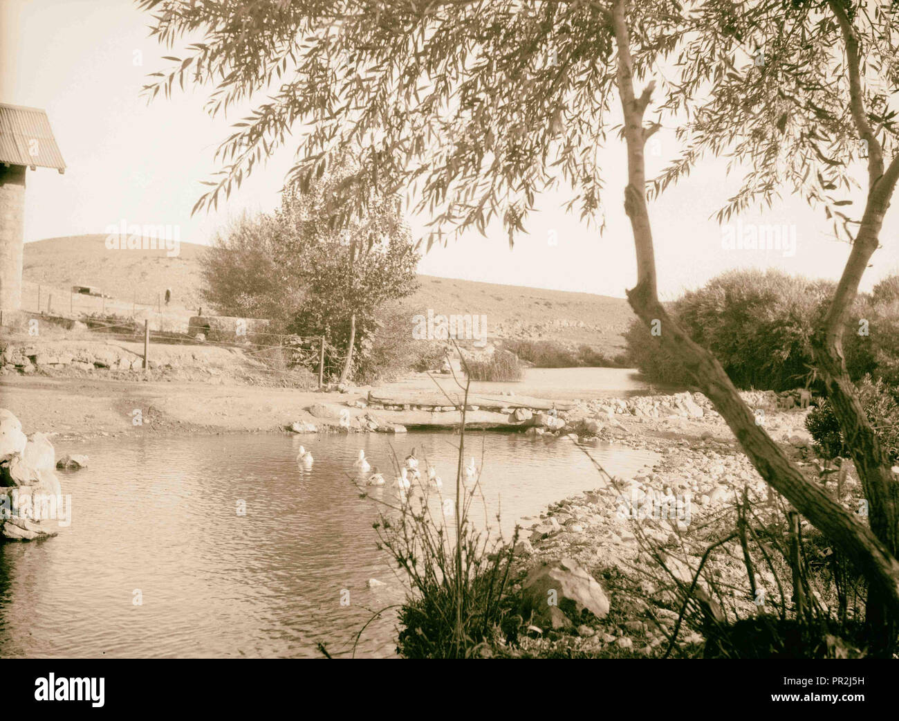 Wadi Sha'ib Es-Salt, Amman, etc. Source du Zerka. 1920, Jordanie Banque D'Images