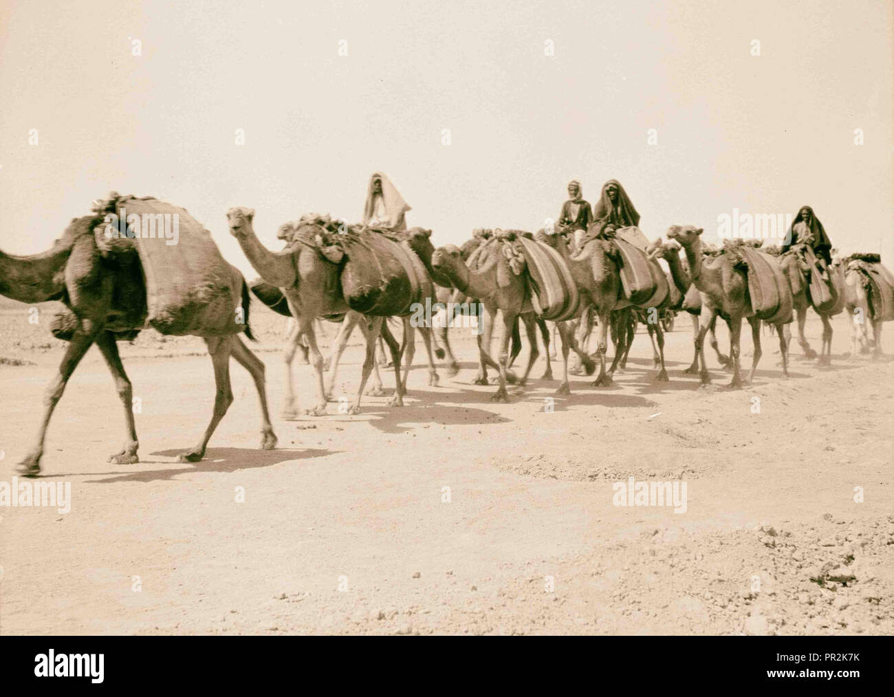 L'Iraq. 'Babylone la grande.' divers points de vue de l'éboulement des ruines. Caravane de chameaux. Transport de grains près de ruines antiques. 1932, l'Iraq Banque D'Images