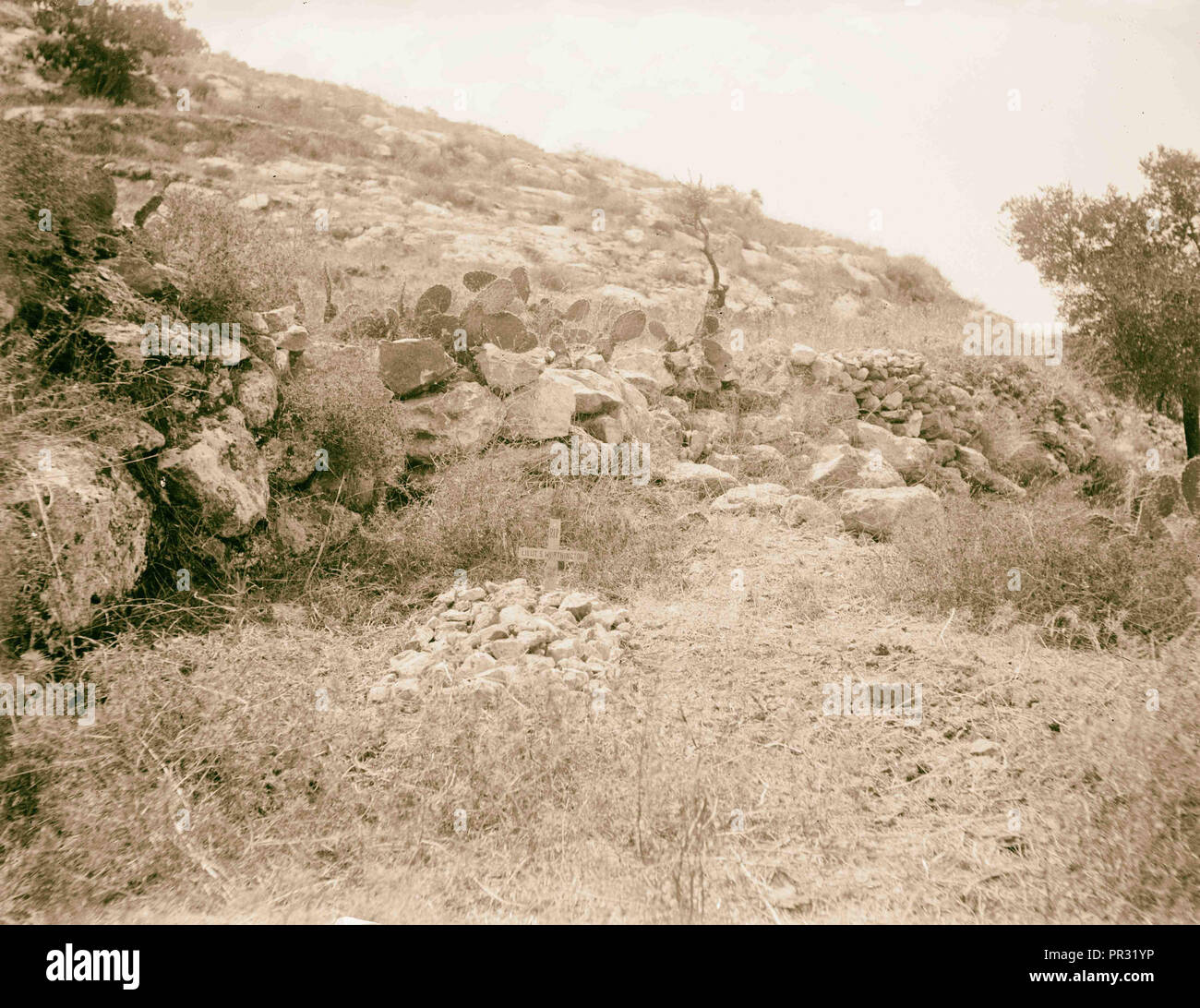 Tombes des soldats 1917, Moyen-Orient, Israël et/ou Palestine Banque D'Images