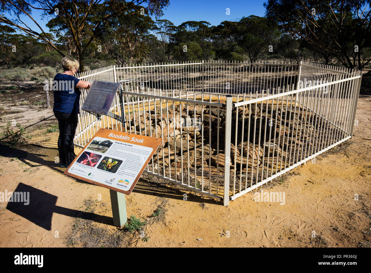 La femme debout à clôture à Boodalin historique à l'extérieur de Westonia tremper l'ouest de l'Australie Banque D'Images