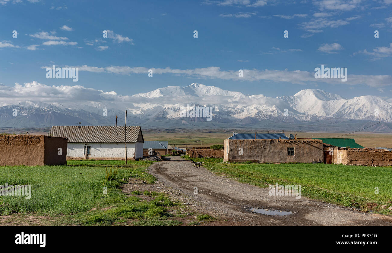 Magnifiquement situé dans la vallée de l'Alay entre le Zaalay montagnes et le Pamir, Sary Mogol est le point de départ pour visiter le pic Lénine. Banque D'Images