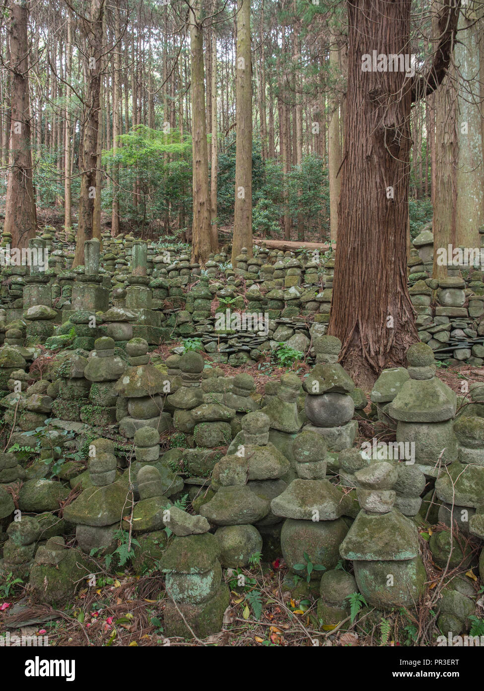 En souvenir des cour a donné des forêts, ruines de Temple, Sentoji Kunisaki, Oita, Kyushu, Japon Banque D'Images