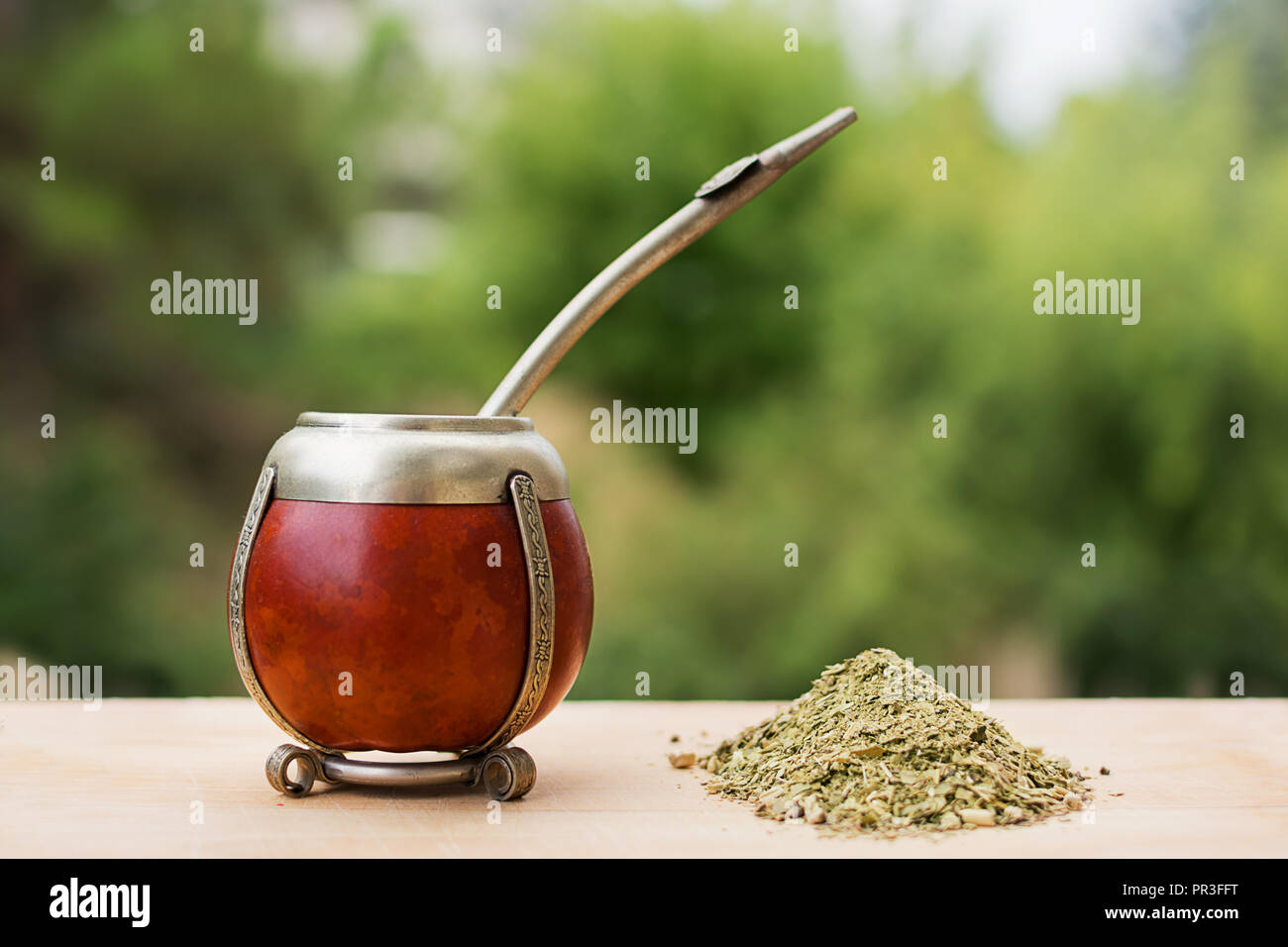 Mate, mate herbe (yerba mate) avec des arbres en arrière-plan Banque D'Images