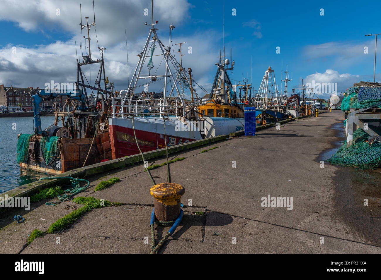 Les bateaux de pêche amarrés dans le Port de Campbeltown en Ecosse Banque D'Images