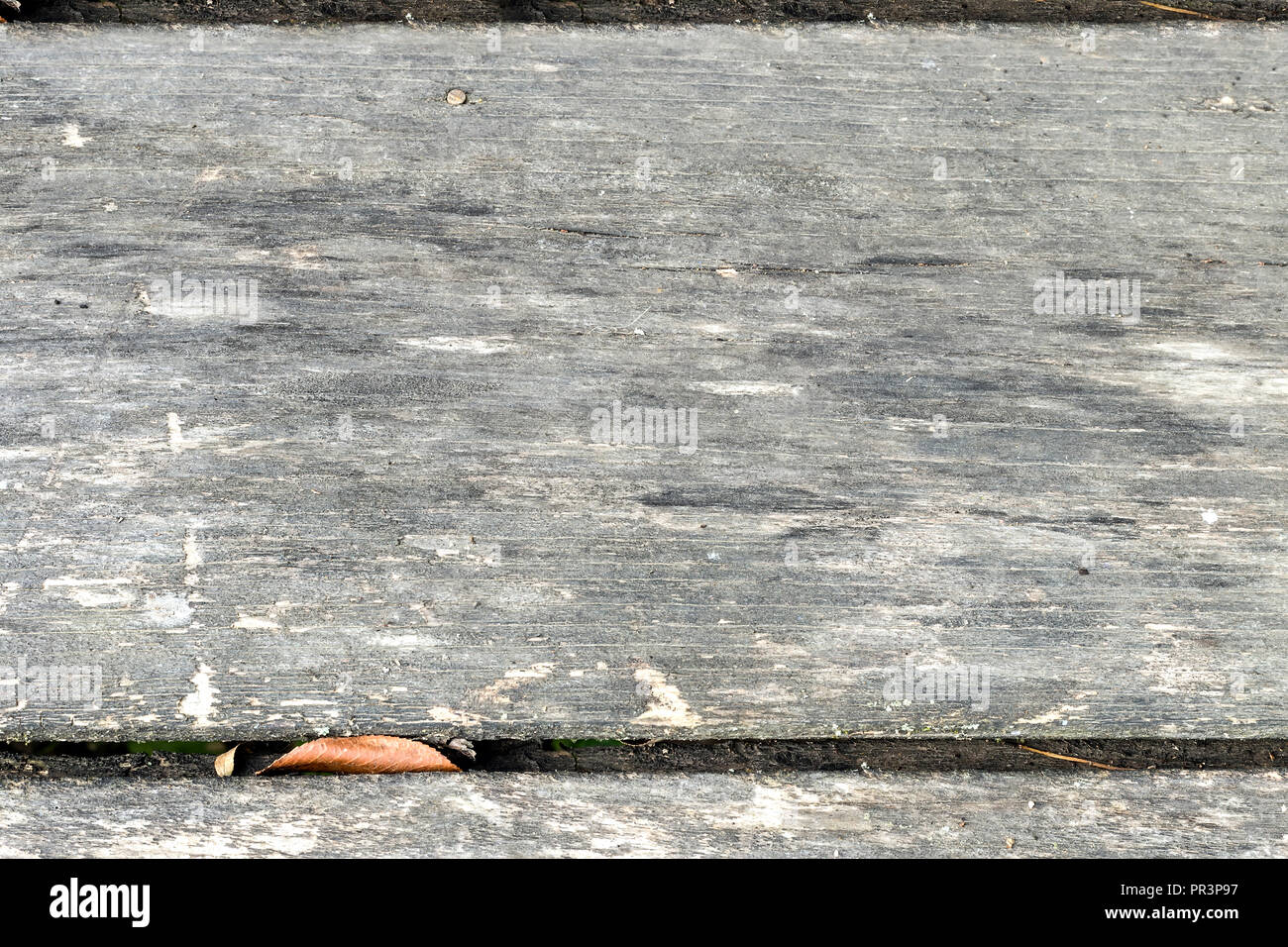 Coupe de l'image bois naturel avec structure du bois. Présente close-up. Banque D'Images