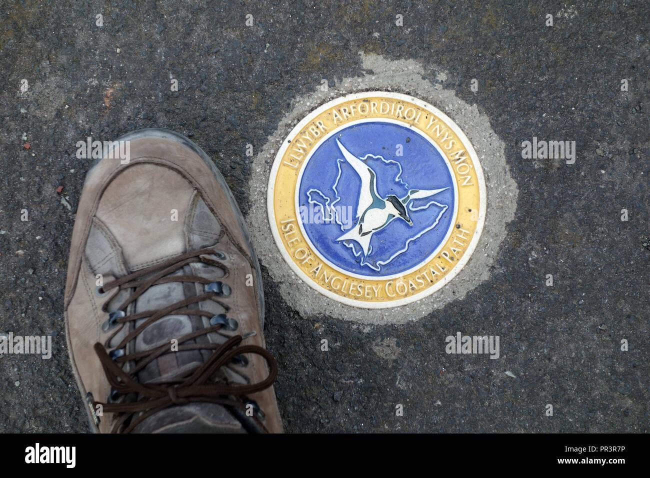 Isle of Anglesey Coastal Path Marbre Sign Marker et Mans Shoe à Bull Bay, Pays de Galles, Royaume-Uni. Banque D'Images