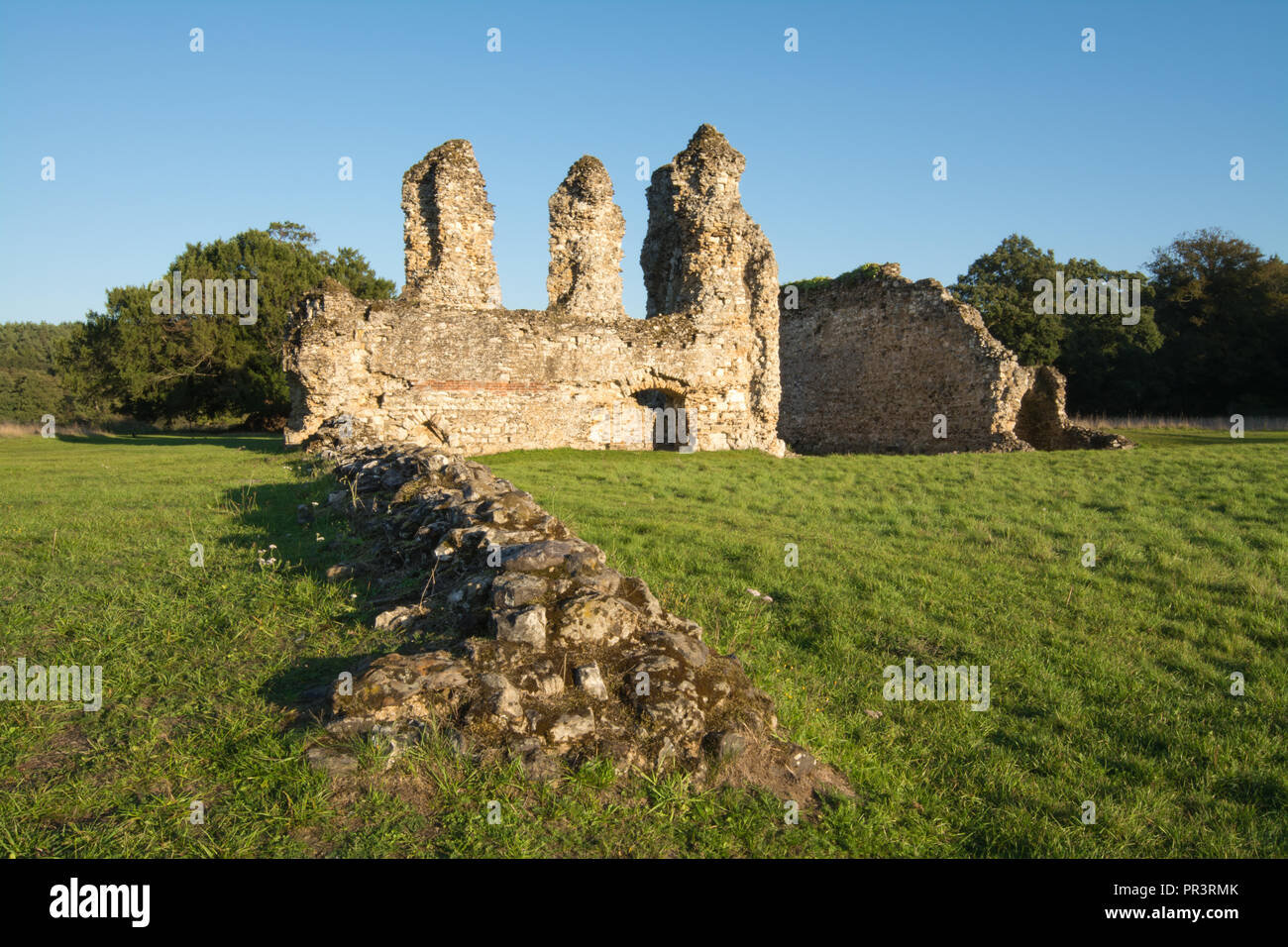Abbaye de Waverley, les ruines du premier monastère cistercien construit en Angleterre (fondée en 1128) dans la région de Surrey, UK Banque D'Images