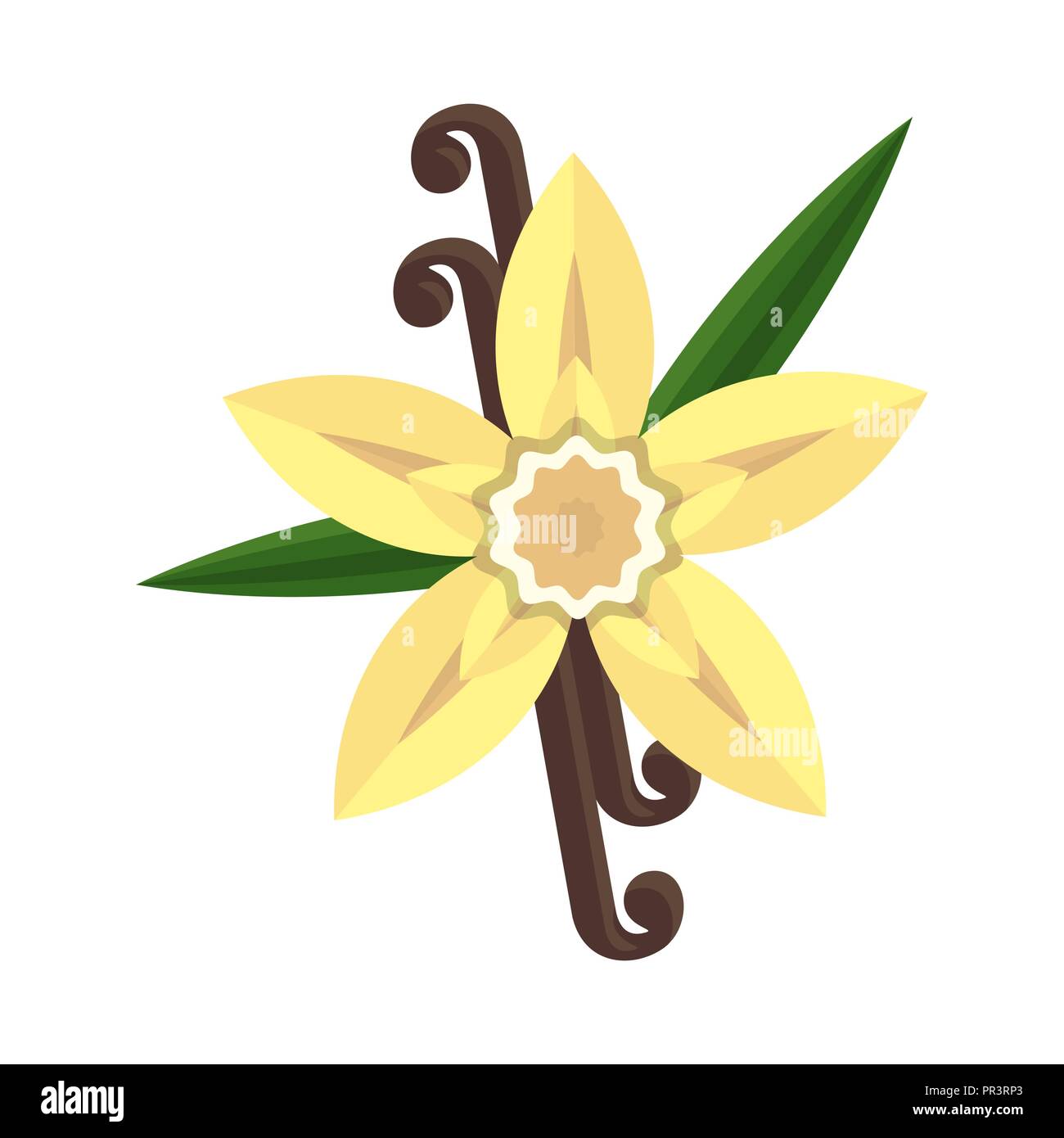 Fleur De Vanille Avec Croix Et De Feuilles Spice Pour Les