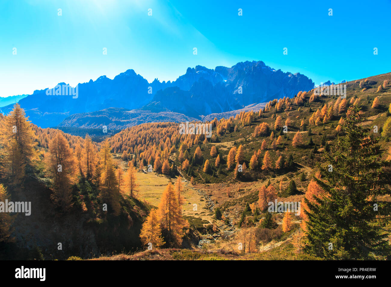 L'automne dans les Alpes italiennes Banque D'Images