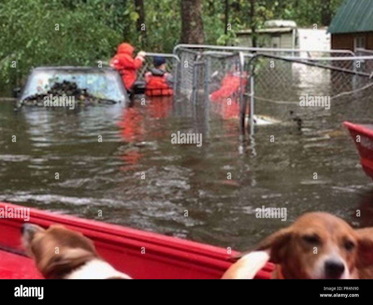 La Garde côtière canadienne les membres de l'équipe de bateau Réponse Shallow-Water 3 aider les gens et leurs animaux bloqués par l'eau de l'inondation causée par l'ouragan Florence près de Riegelwood, Caroline du Nord, le 16 septembre 2018. Banque D'Images