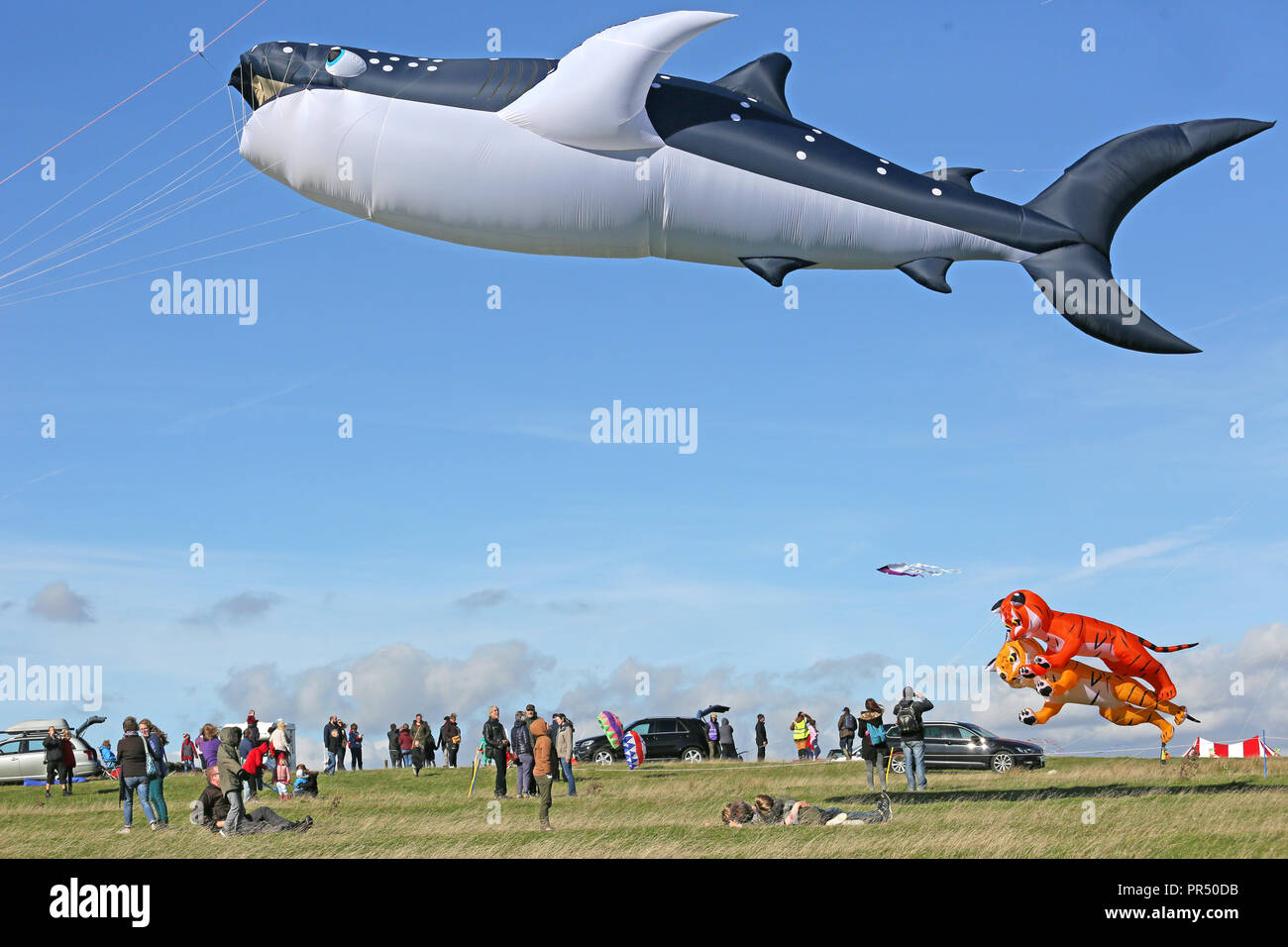 Halifax, Royaume-Uni. 29 septembre 2018. Une baleine géante le cerf-volant au South Pennines Kite Festival sur Hunter Hill, Wainstalls, Halifax, le 29 septembre, 2018 (C)Barbara Cook/Alamy Live News Banque D'Images