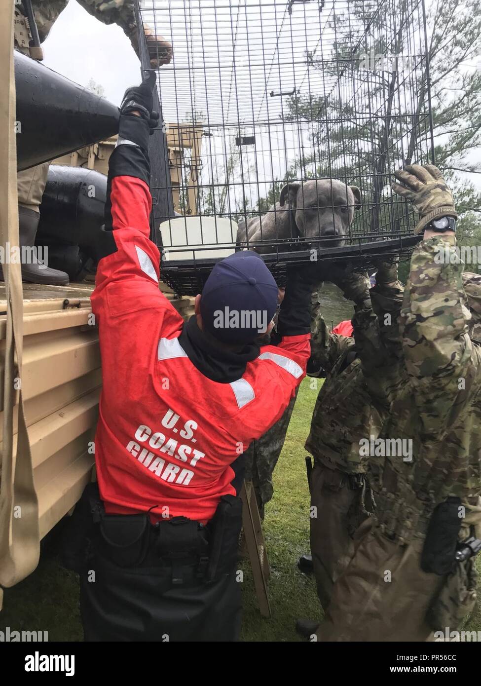 Les équipes de sauveteurs de la Garde côtière canadienne bloqués par l'eau de l'inondation en réponse à l'ouragan Florence en Caroline du Nord, Dimanche 16 Septembre, 2018. La Garde côtière canadienne et ses partenaires travaillent avec l'Etat et les organismes locaux dans toute la région touchée. Banque D'Images