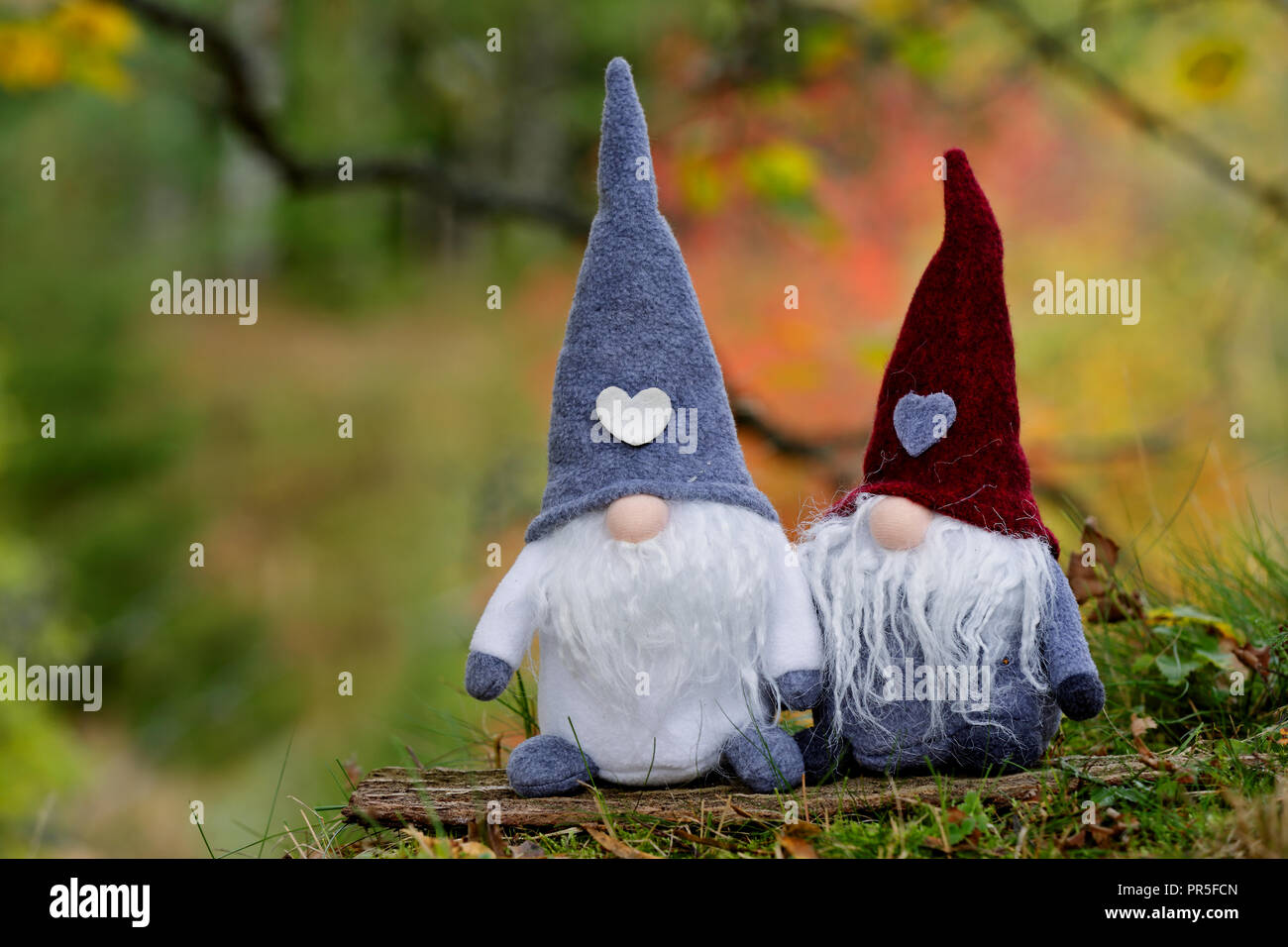 Deux petits lutins en forêt d'automne Banque D'Images