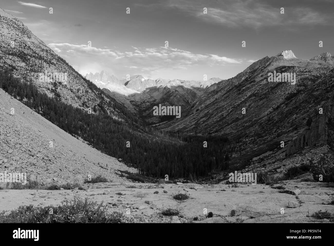 Lever du soleil sur la vallée du ruisseau de la palissade avec les rochers du diable dans l'arrière-plan. John Muir Trail/Pacific Crest Trail ; Sequoia Kings Canyon Wilderness Banque D'Images