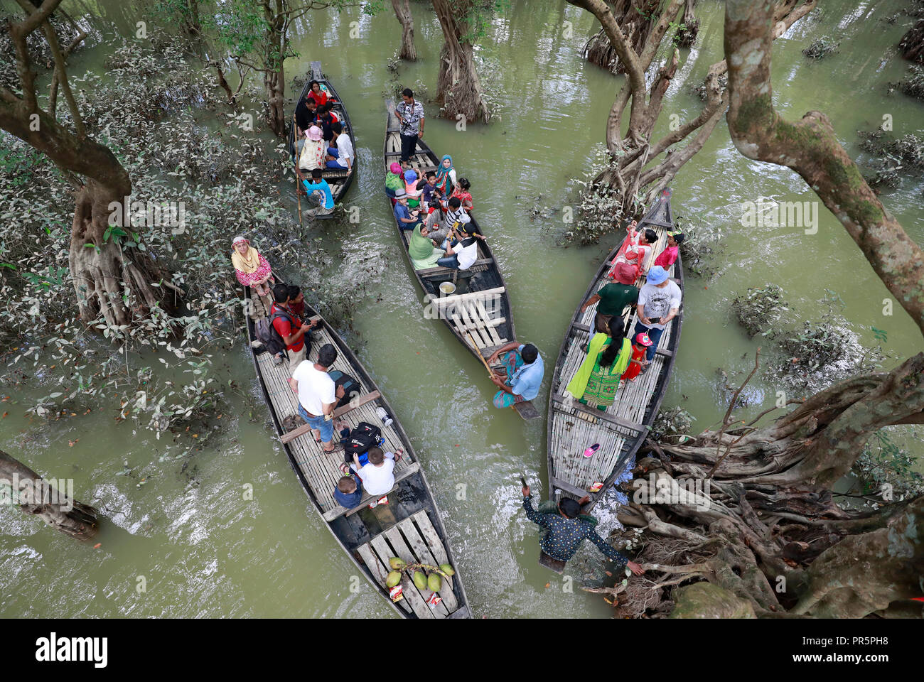 Sylhet, Bangladesh - Septembre 21, 2018 : Ratargul est la seule forêt marécageuse d'eau douce dans le pays et affectueusement appelée la "Amazon de Banglade Banque D'Images