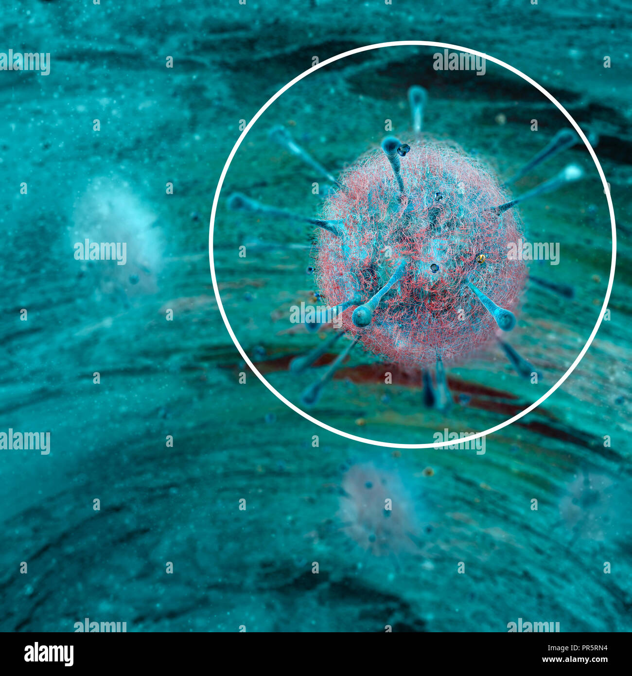 Les virus, micro-organismes, les doubles emplois et la propagation. Formation de bactéries et micro-organismes vu sous un microscope. Le rendu 3D Banque D'Images