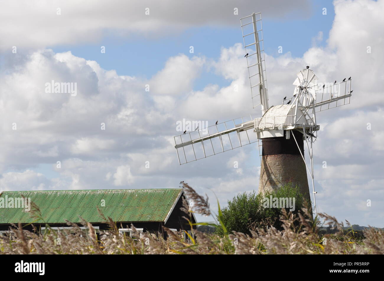 St Benet's drainage niveau moulin, sur la rivière Thurne, Norfolk Broads, England UK Banque D'Images