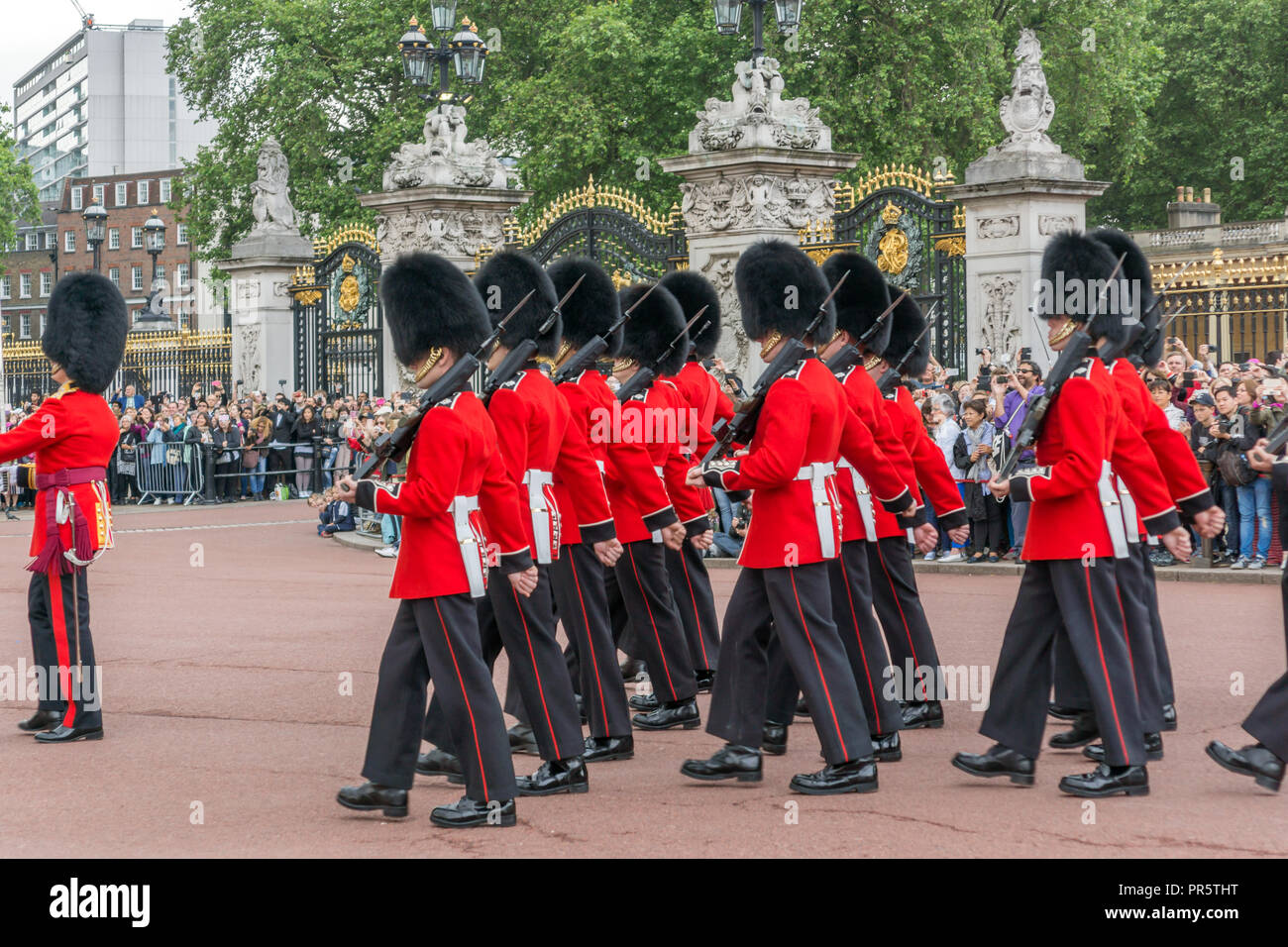 Buckingham Palace Guard Photos & Buckingham Palace Guard Images - Page