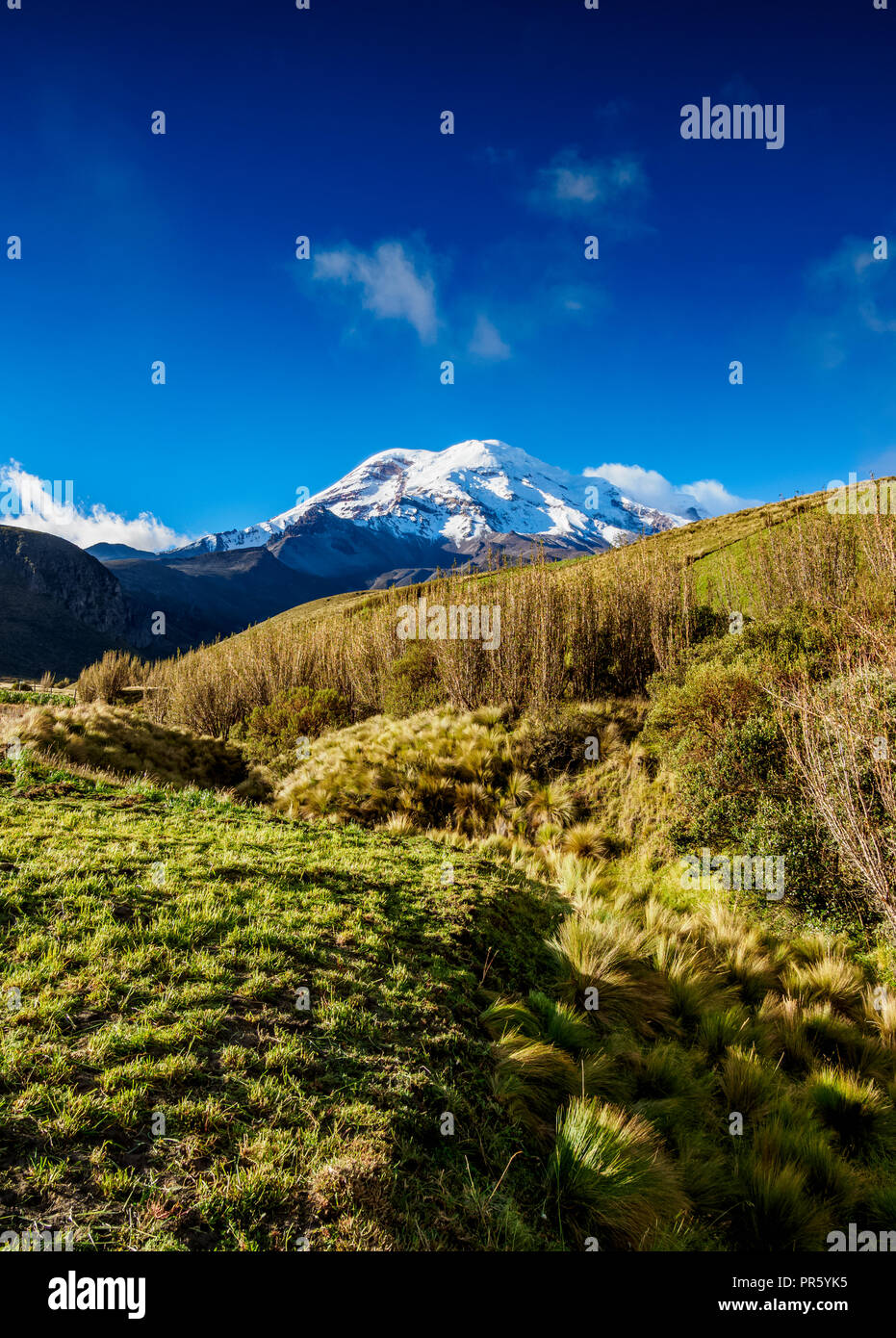 Volcan Chimborazo, Équateur, province de Chimborazo Banque D'Images